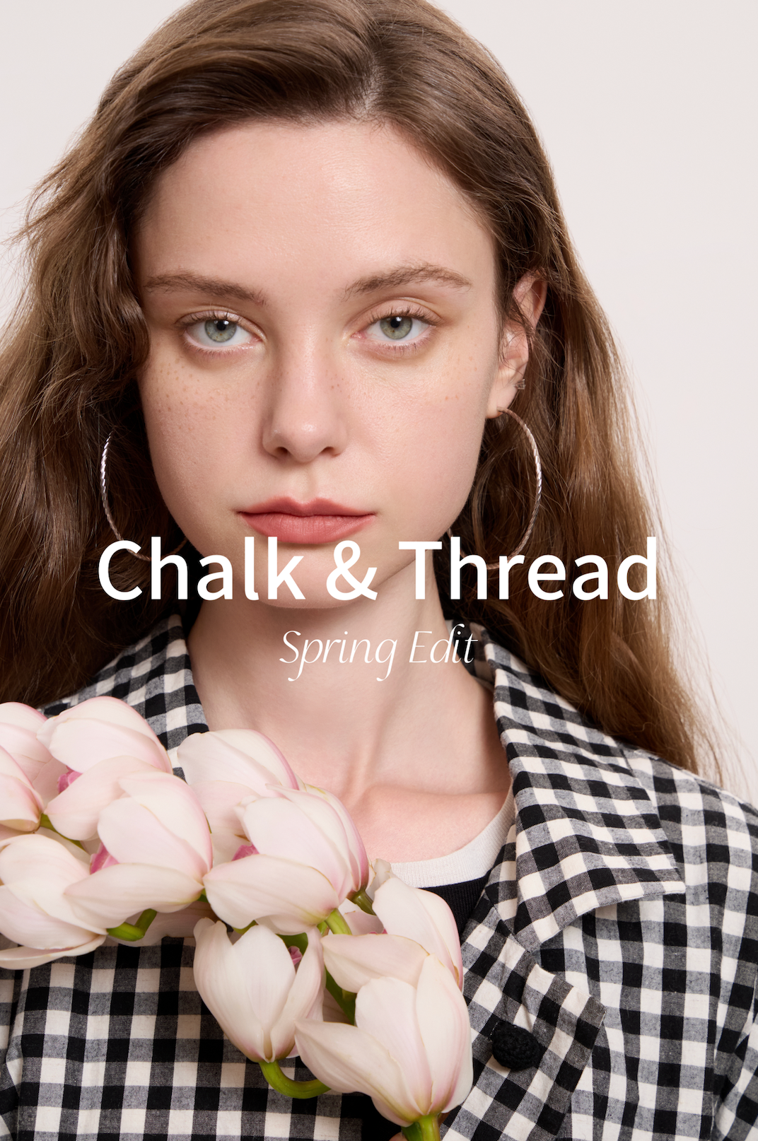 Website Update & Holiday Shipping Notice